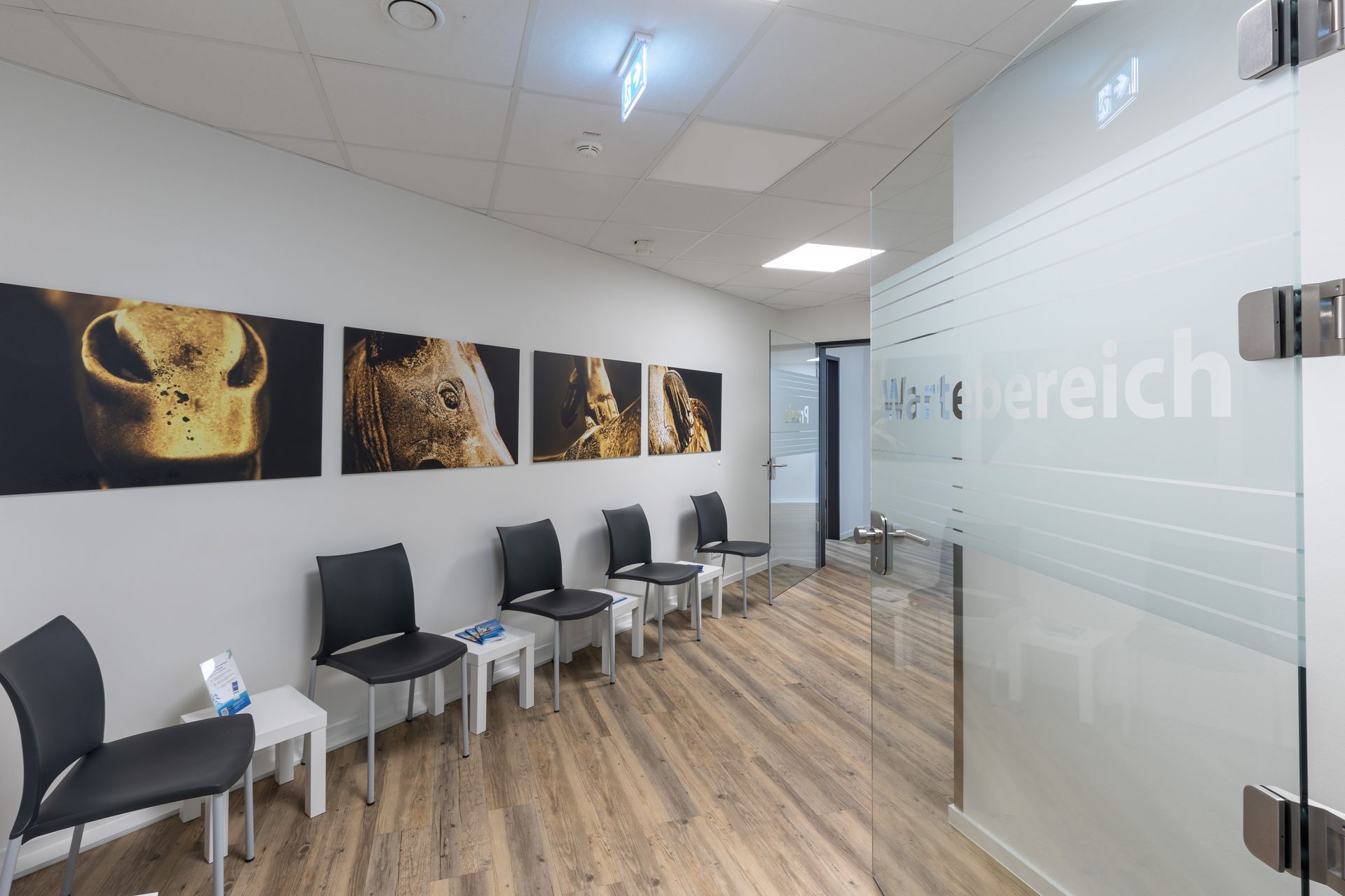 Chirurgie & Proktologie Bremen | Allgemein- & Viszeralchirurgie